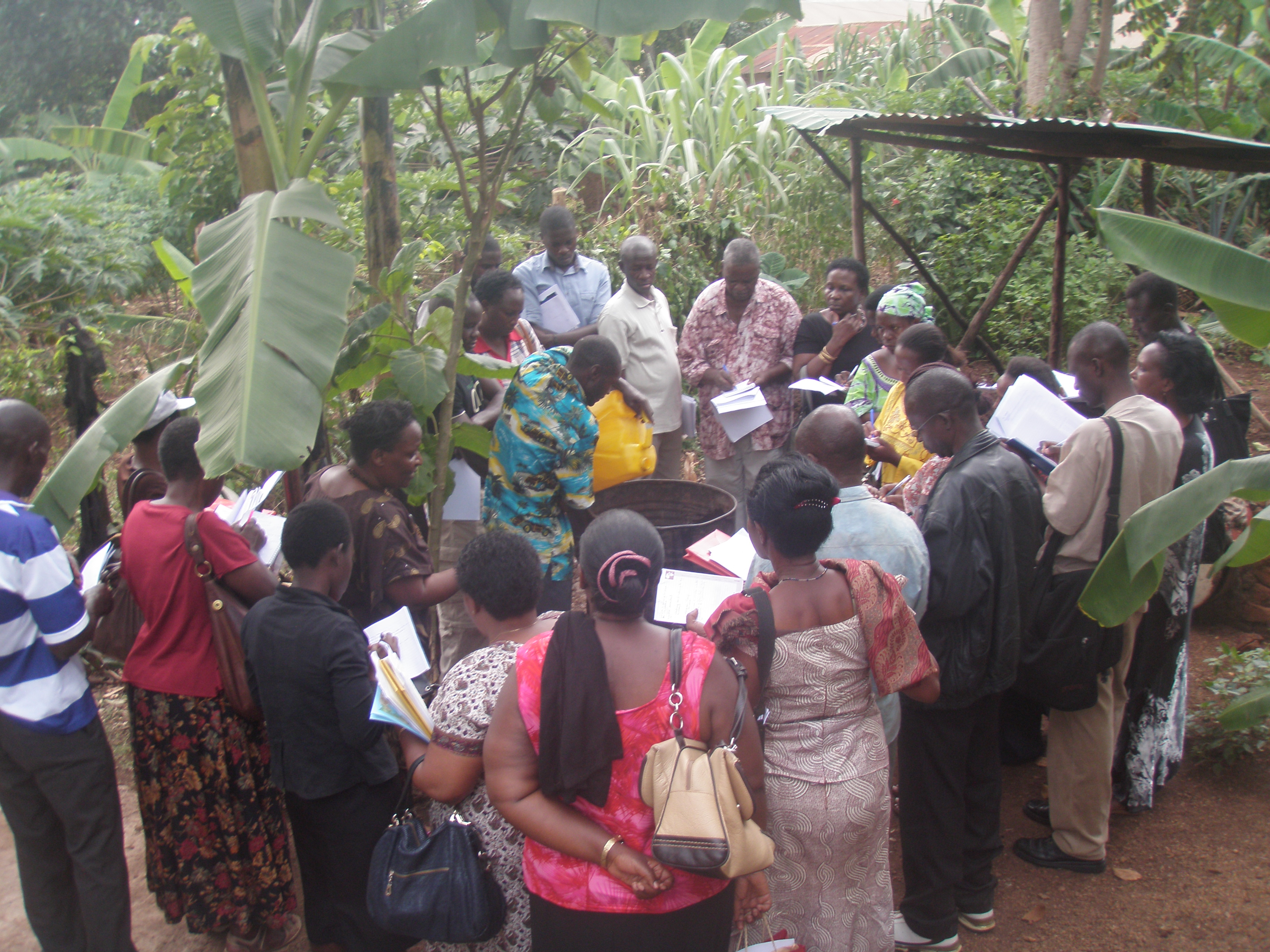 Empowering Farmers in Uganda through sustainable agriculture leadership and financial literacy